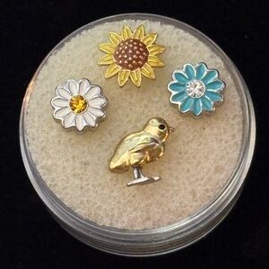 Spring Time Origami Owl Charms